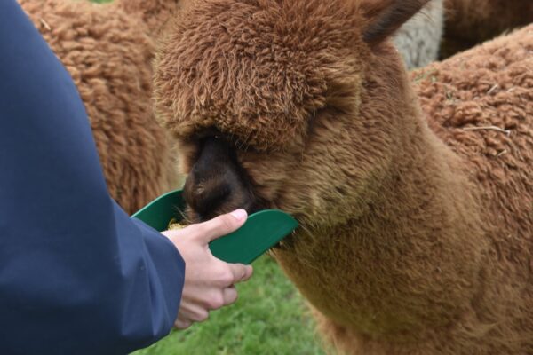 Meet & Greet 1 Meet & Greet 1