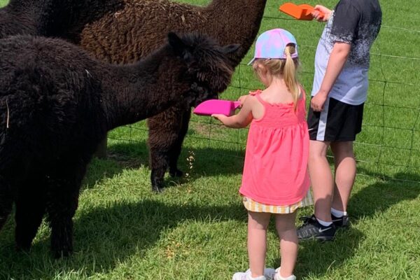 Meet & Greet 2 Meet & Greet 2