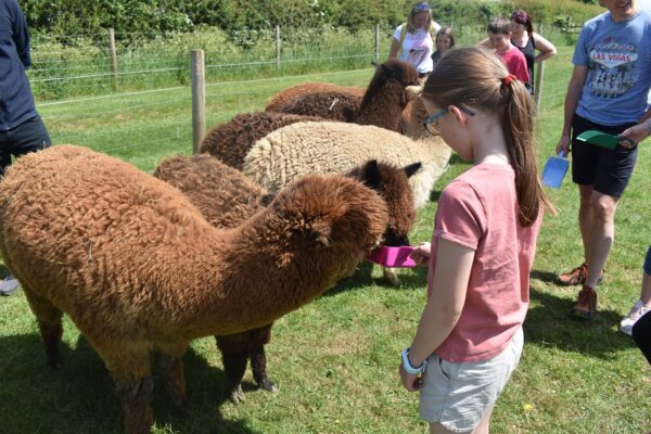 Meet & Greet 3 Meet & Greet 3