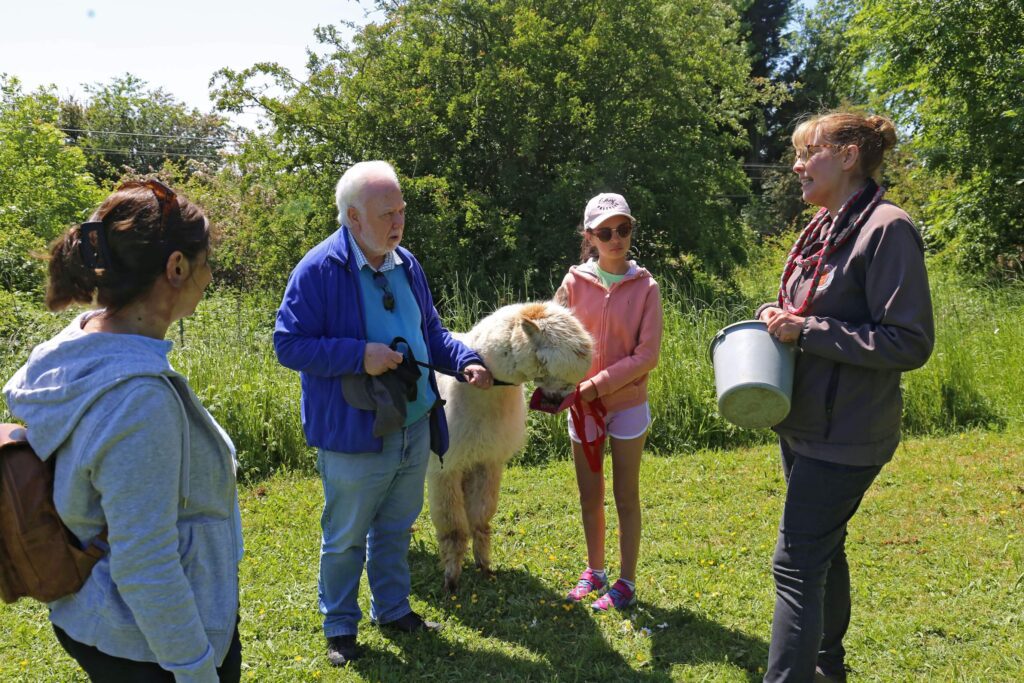 Alpaca Experiences - Alpaca Treks - Rolling photos at bottom 1