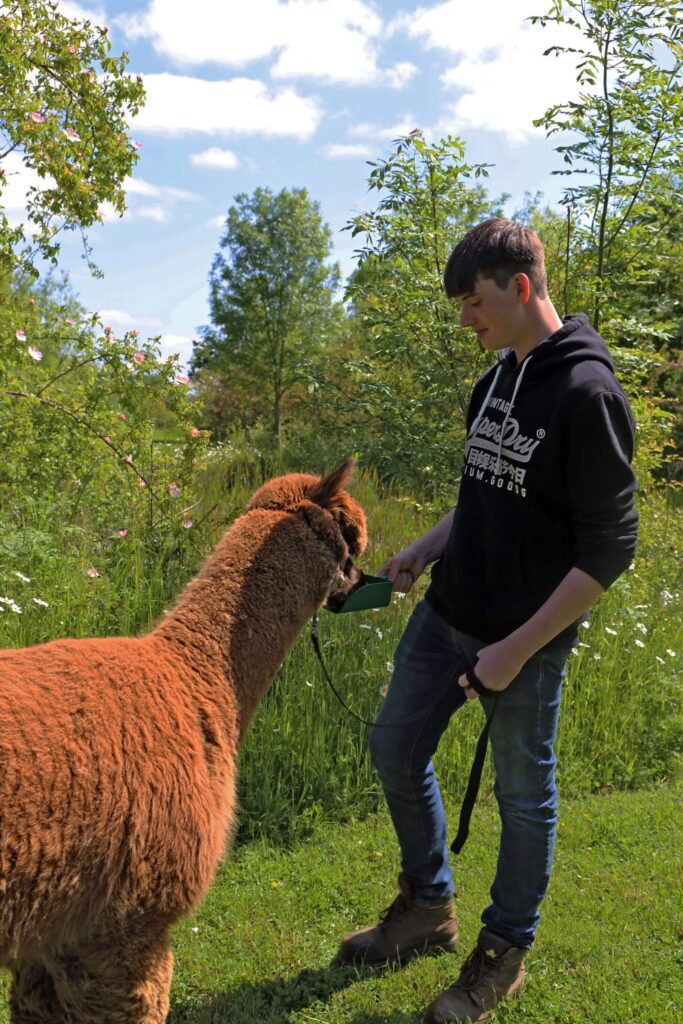 Alpaca Experiences - Alpaca Treks - Rolling photos at bottom 4