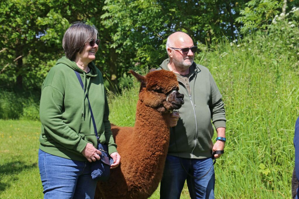 Alpaca Experiences - Alpaca Treks - Rolling photos at bottom 5