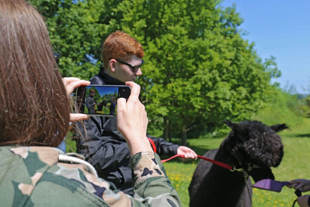 Alpaca Experiences - Alpaca Treks - Rolling photos at bottom 7