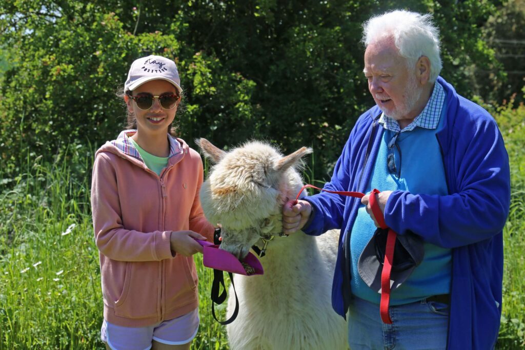 Alpaca Experiences - Alpaca Treks - Rolling photos at bottom 8