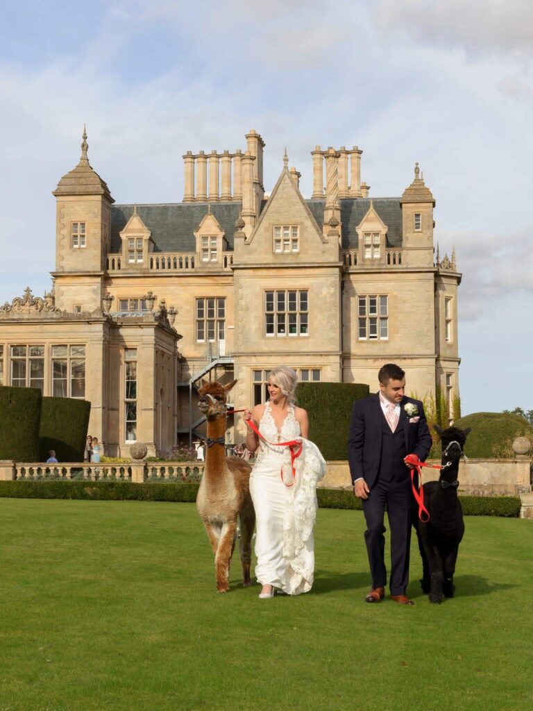 Alpaca Experiences - Weddings - to be added on page 2
