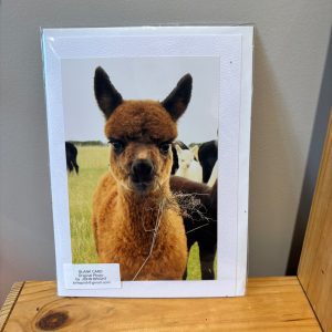 Alpaca Greeting Cards