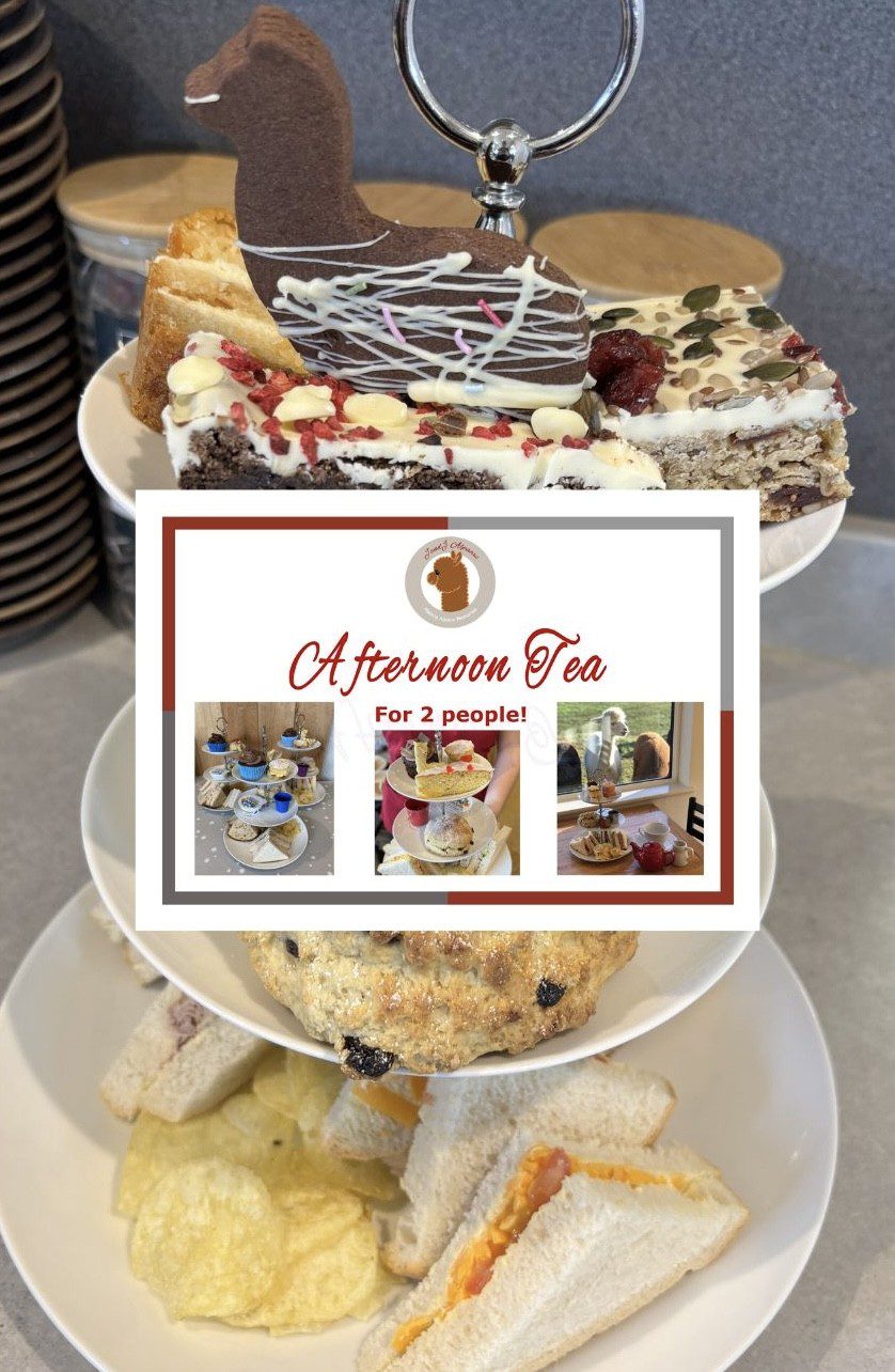 afternoon tea gift voucher