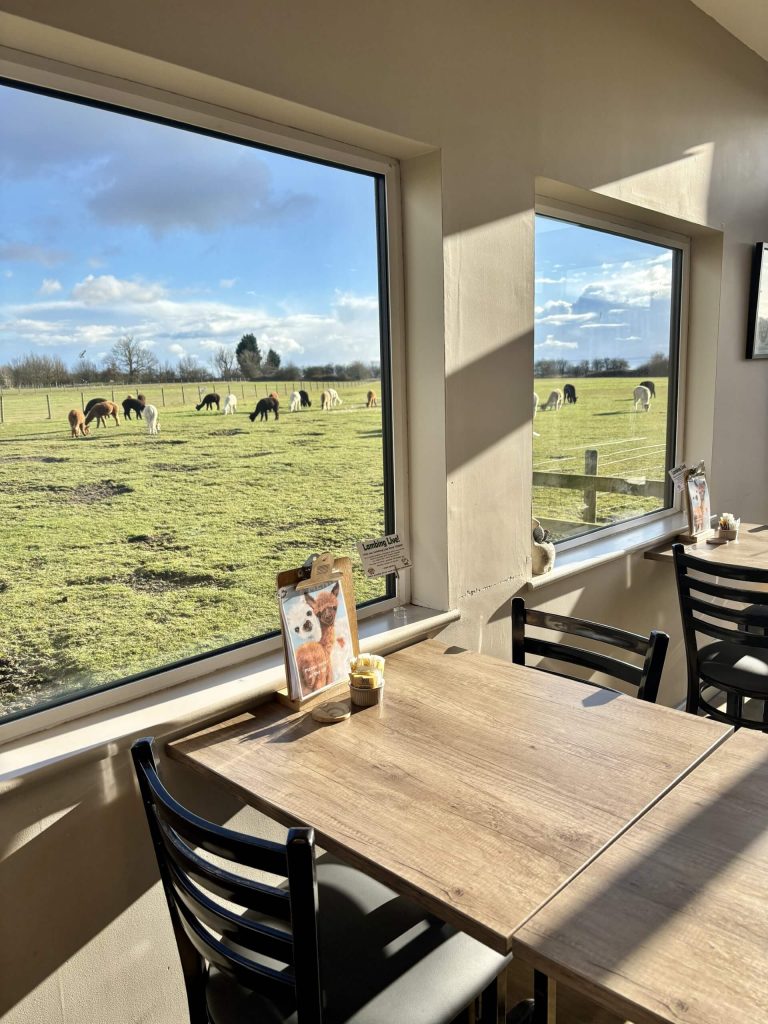 Coffee Shop 2025 j and j coffee shop