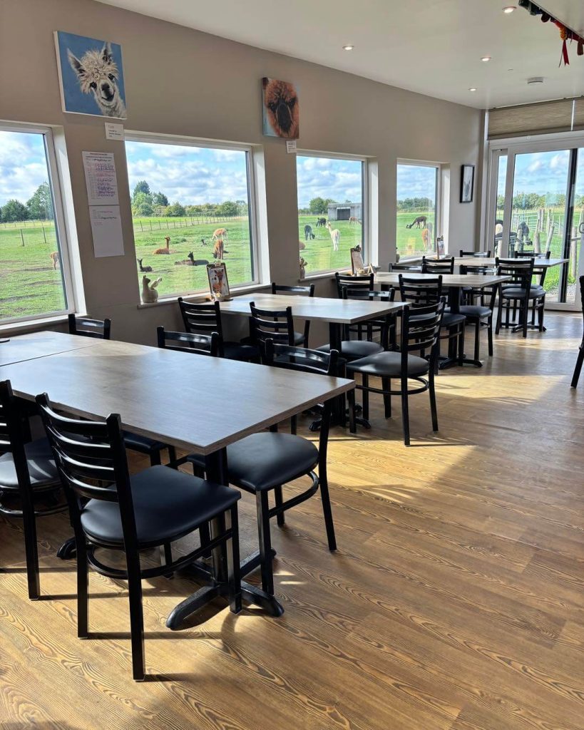 coffee shop 4 A quiet day in the j and j coffee shop