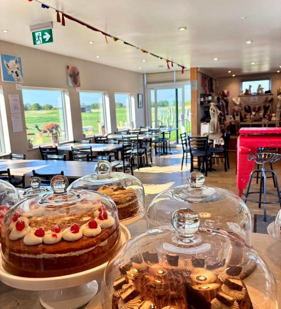 coffee shop Cake ready to be served at j and j coffee shop